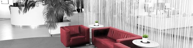 Moderne Lounge mit roten Sofas, Pflanze und weißer vertikaler Wandgestaltung.